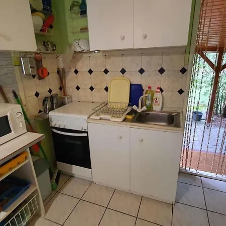 In 43110 Holiday home Balatonfenyves